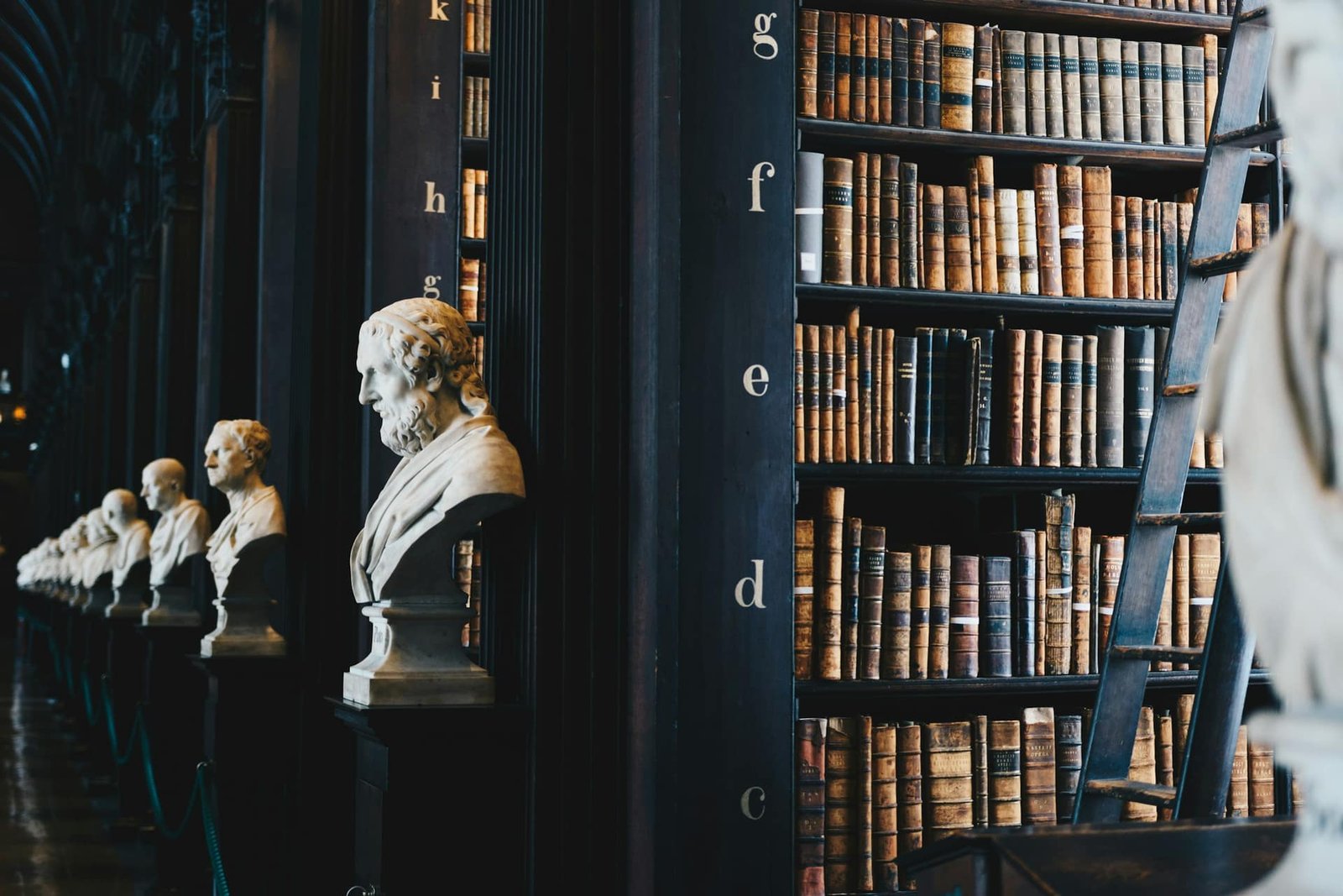 Biblioteca jurídica com estantes de livros de direito em ambiente escuro e sofisticado, representando a atuação do escritório Aquino e Almeida Advogados.